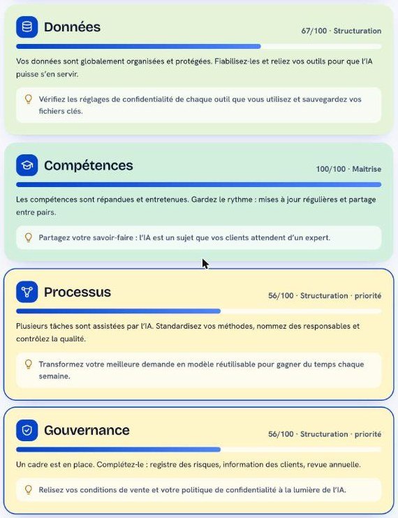 Capture d’écran du détail par axe d’un résultat IArama : Données, Compétences, Processus et Gouvernance avec conseils